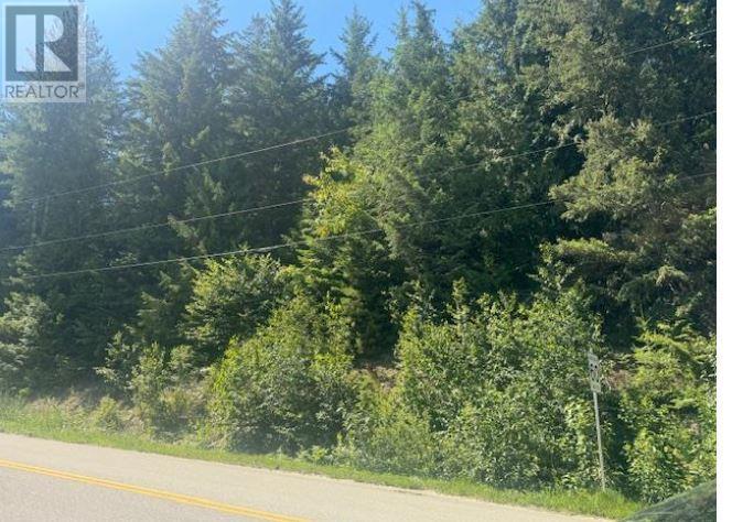 Lot 71 Squilax-anglemont Road Property Photo 5