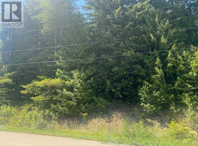 Lot 71 Squilax-anglemont Road Property Photo 6