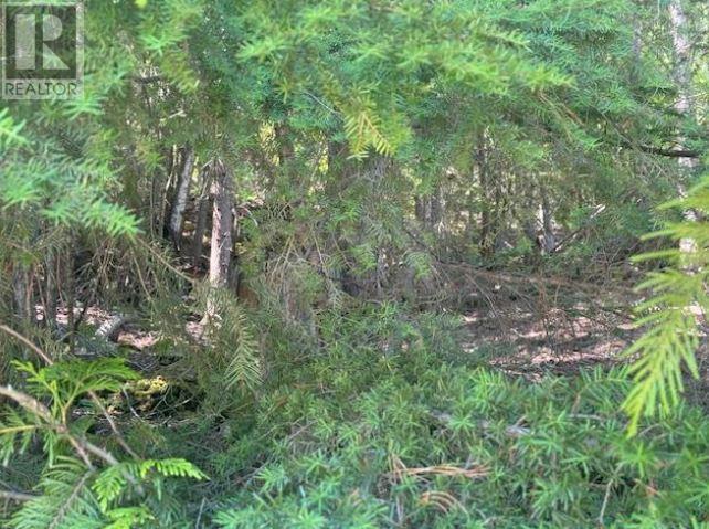 Lot 71 Squilax-anglemont Road Property Photo 7