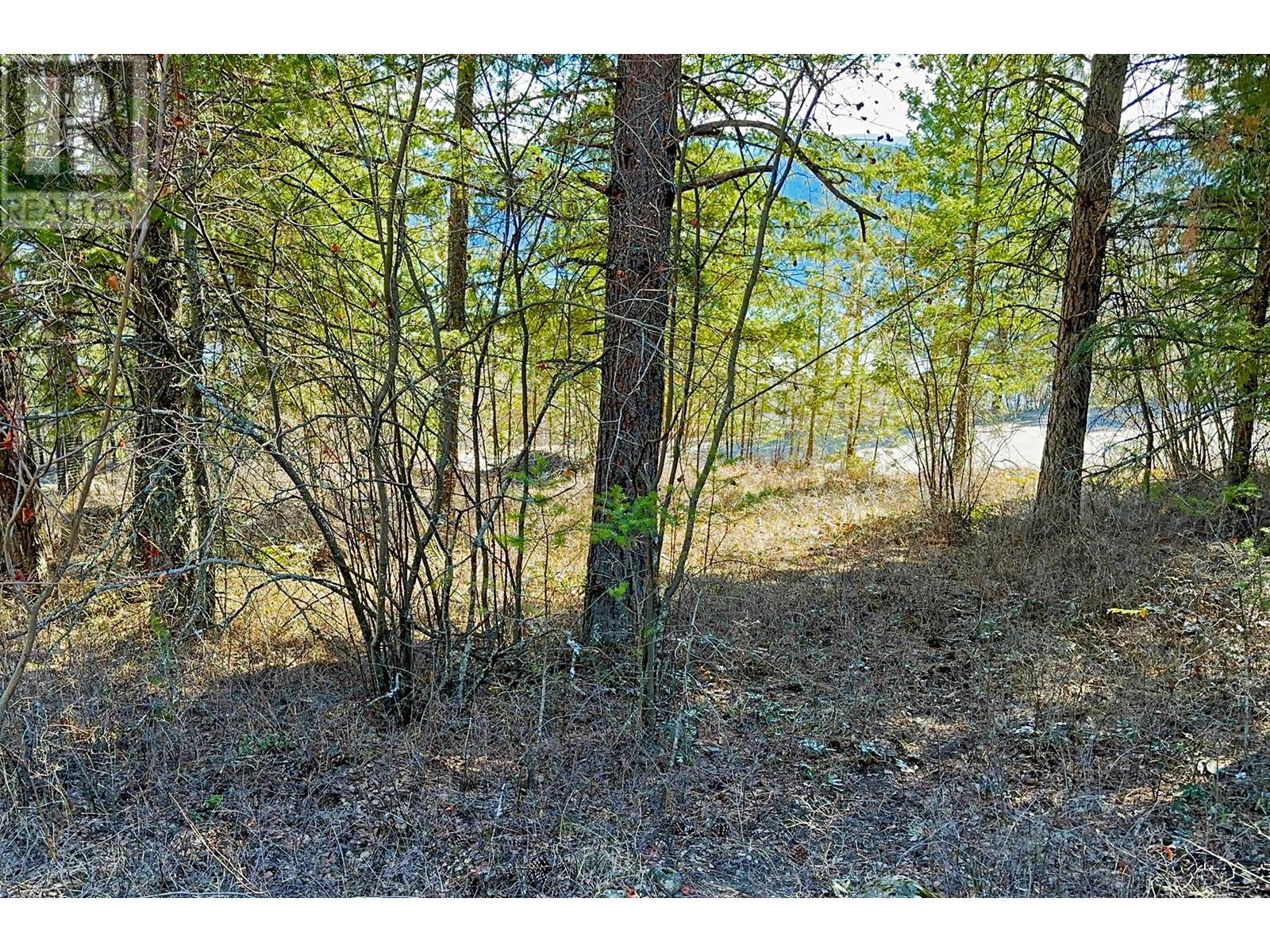 18 Valley Drive Property Photo 15
