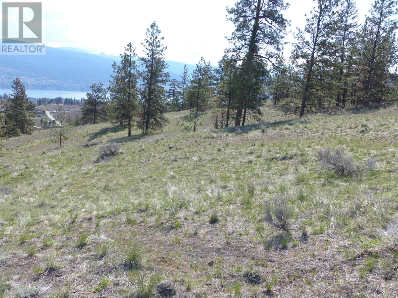 8900 Gilman Road Property Photo 5