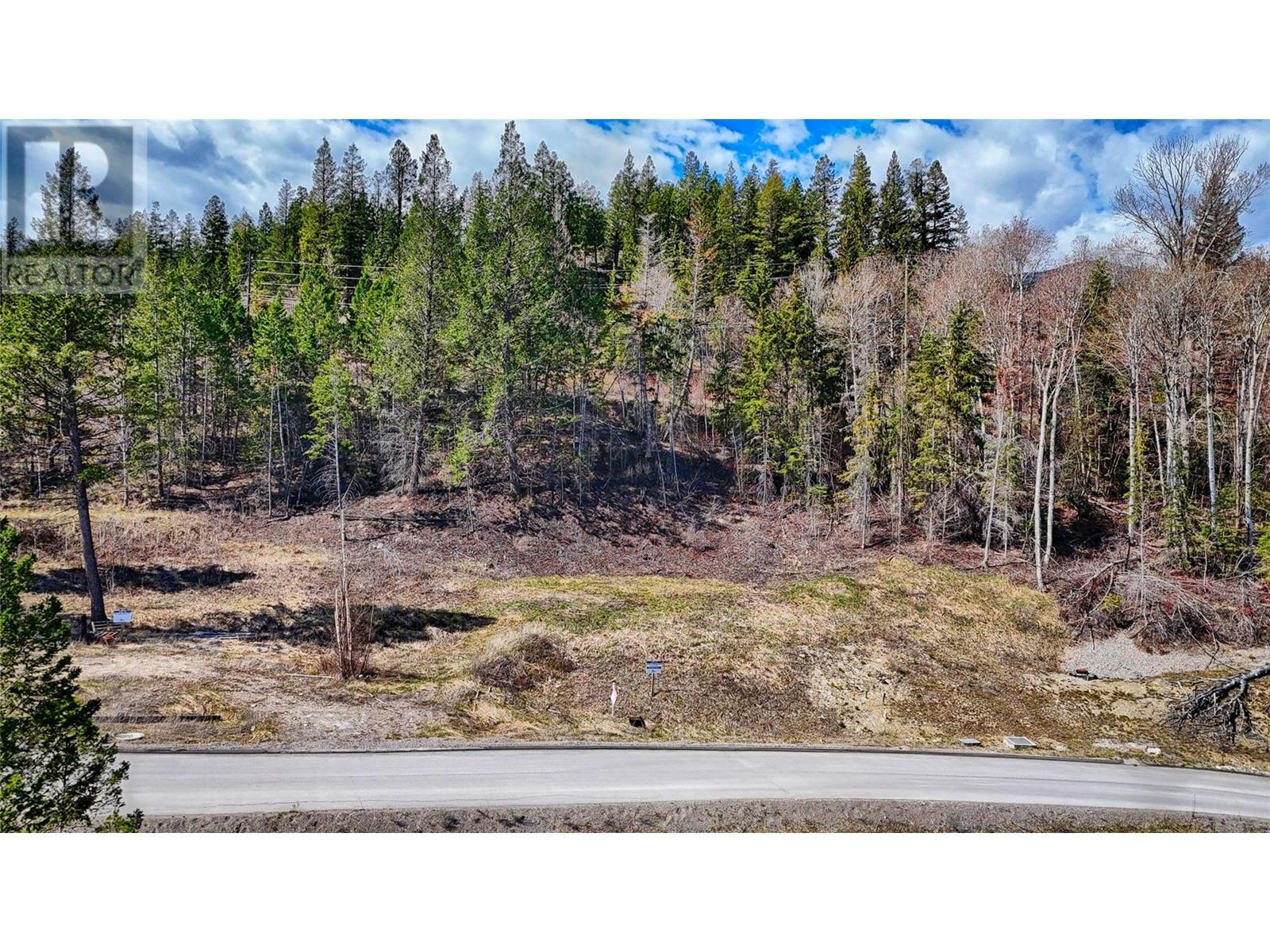 Lot 12 6200 Columbia Lake Road Lot# 12 Property Photo 12