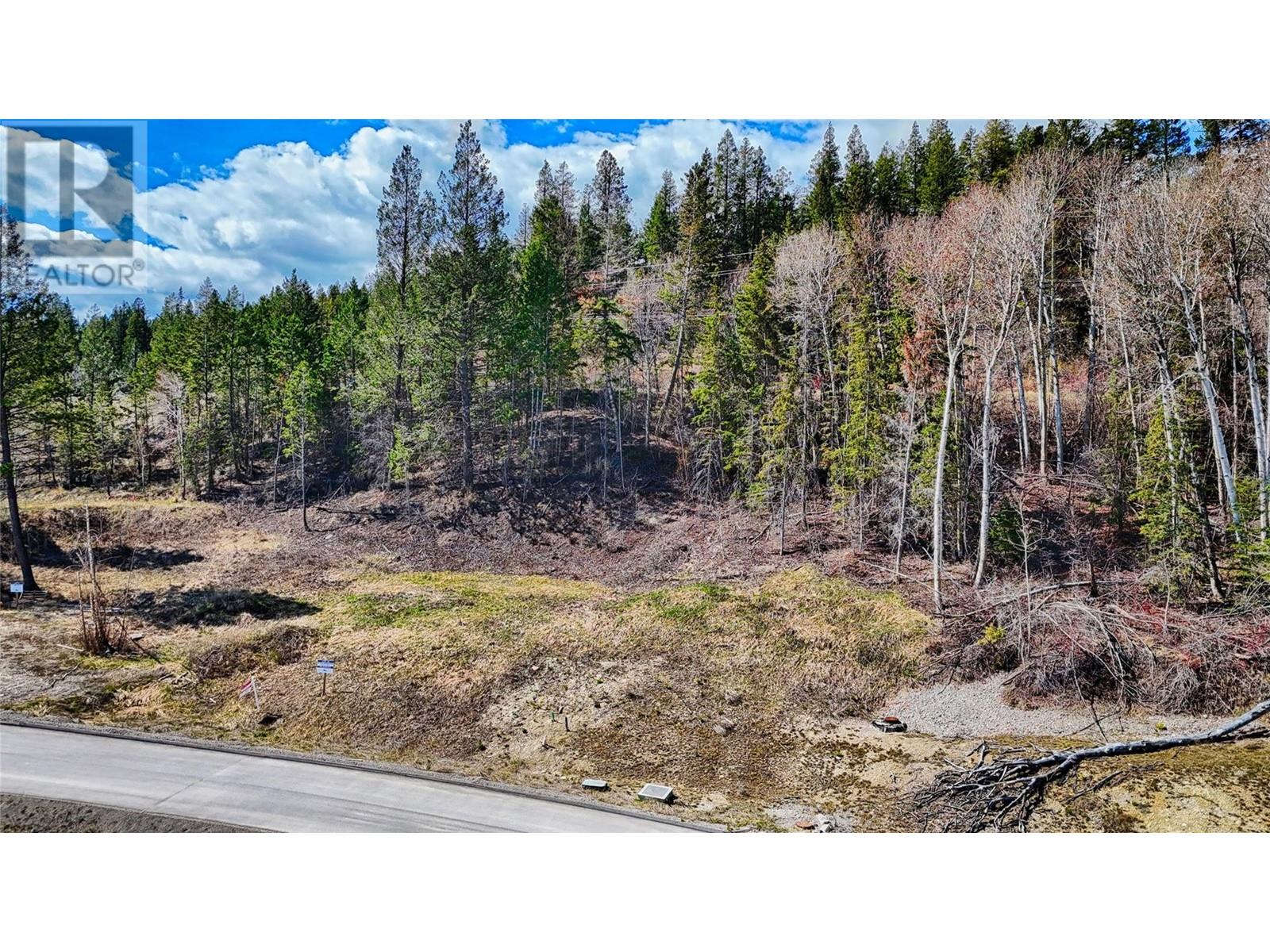 Lot 12 6200 Columbia Lake Road Lot# 12 Property Photo 13