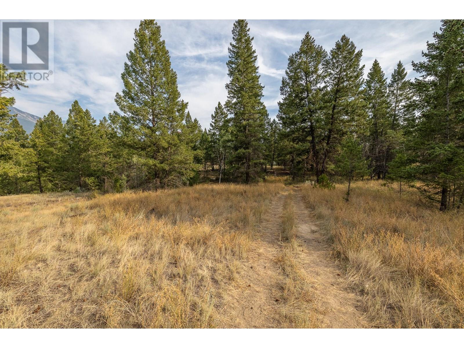 Lot A Columbia Lake Road Property Photo 8