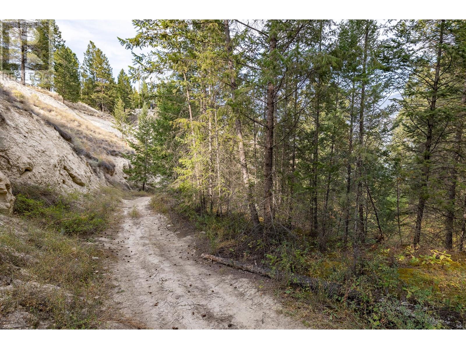 Lot A Columbia Lake Road Property Photo 12