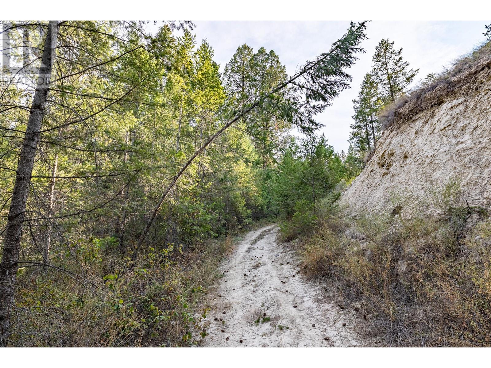 Lot A Columbia Lake Road Property Photo 24