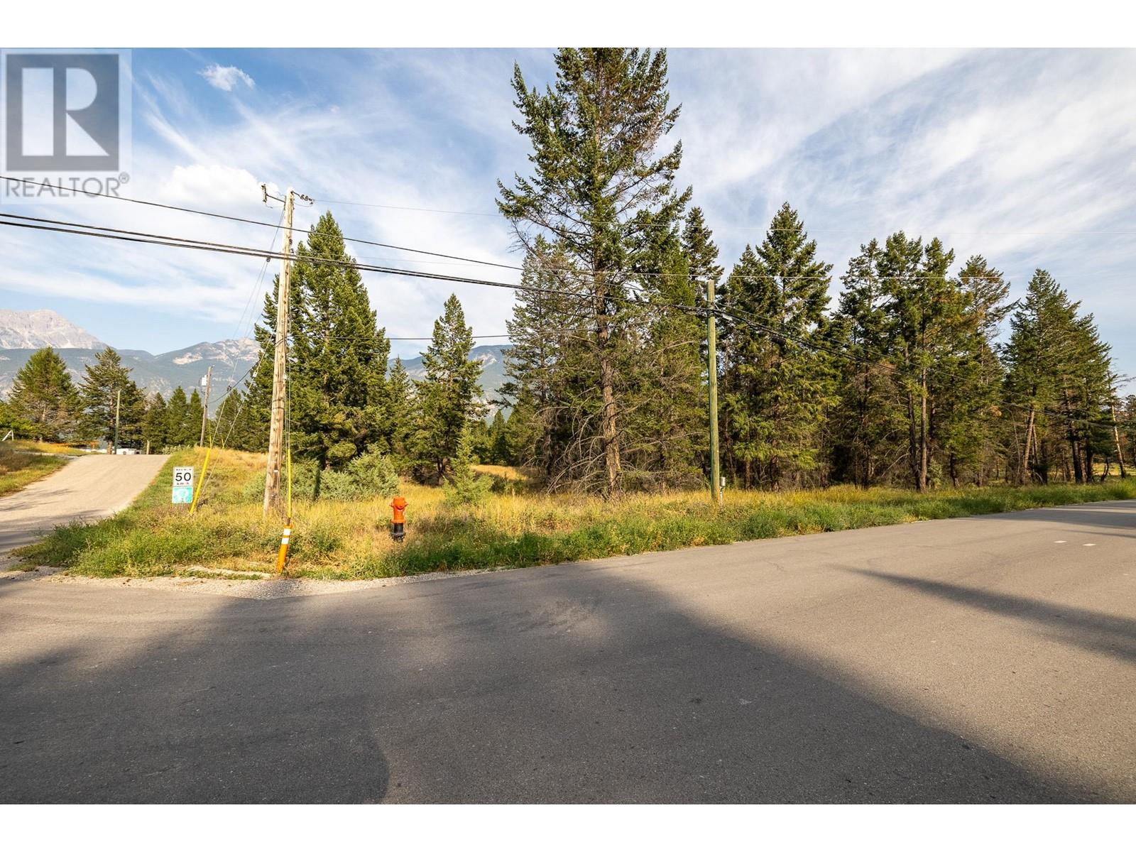 Lot A Columbia Lake Road Property Photo 25