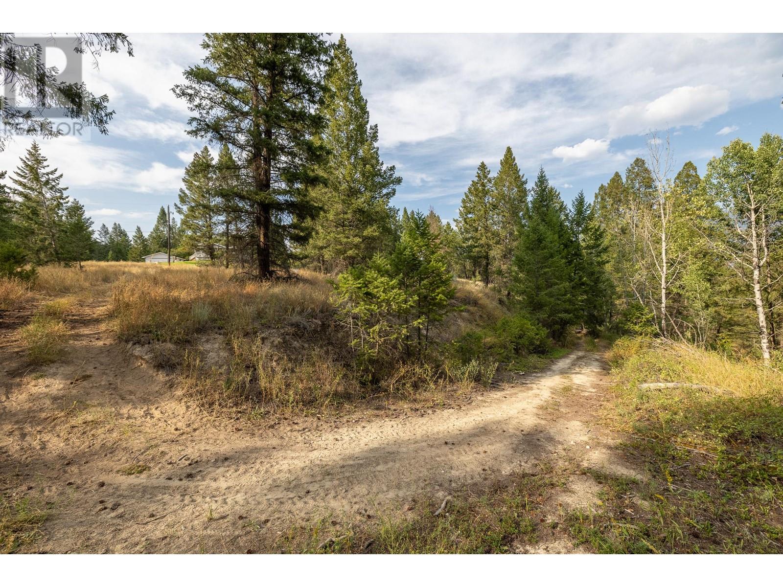 Lot B Columbia Lake Road Property Photo 6