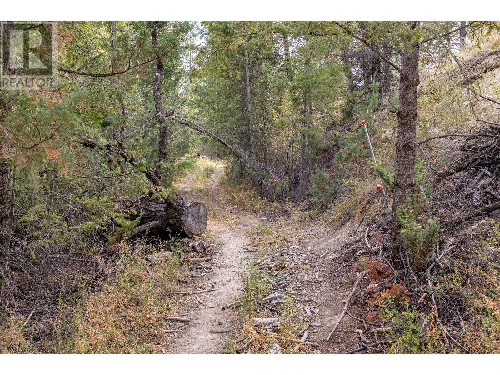 Lot B Columbia Lake Road Property Photo 8