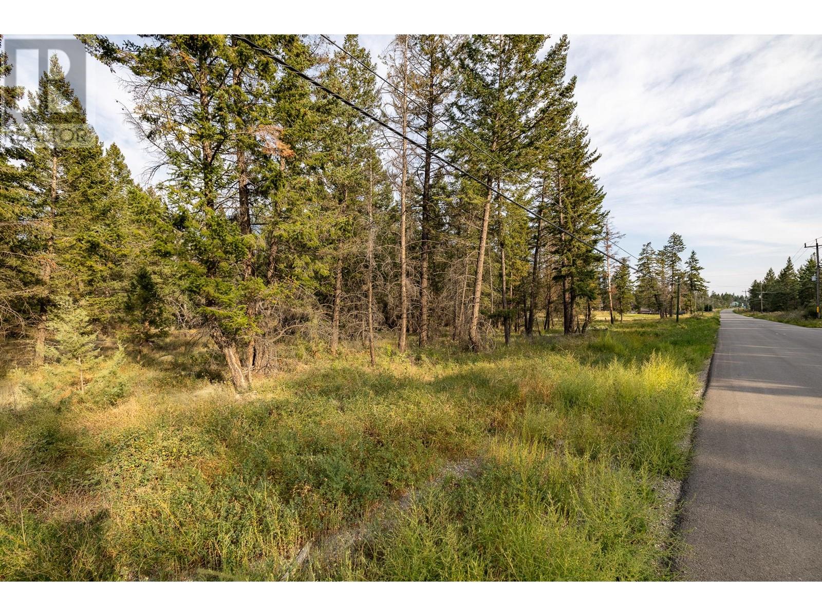 Lot B Columbia Lake Road Property Photo 15
