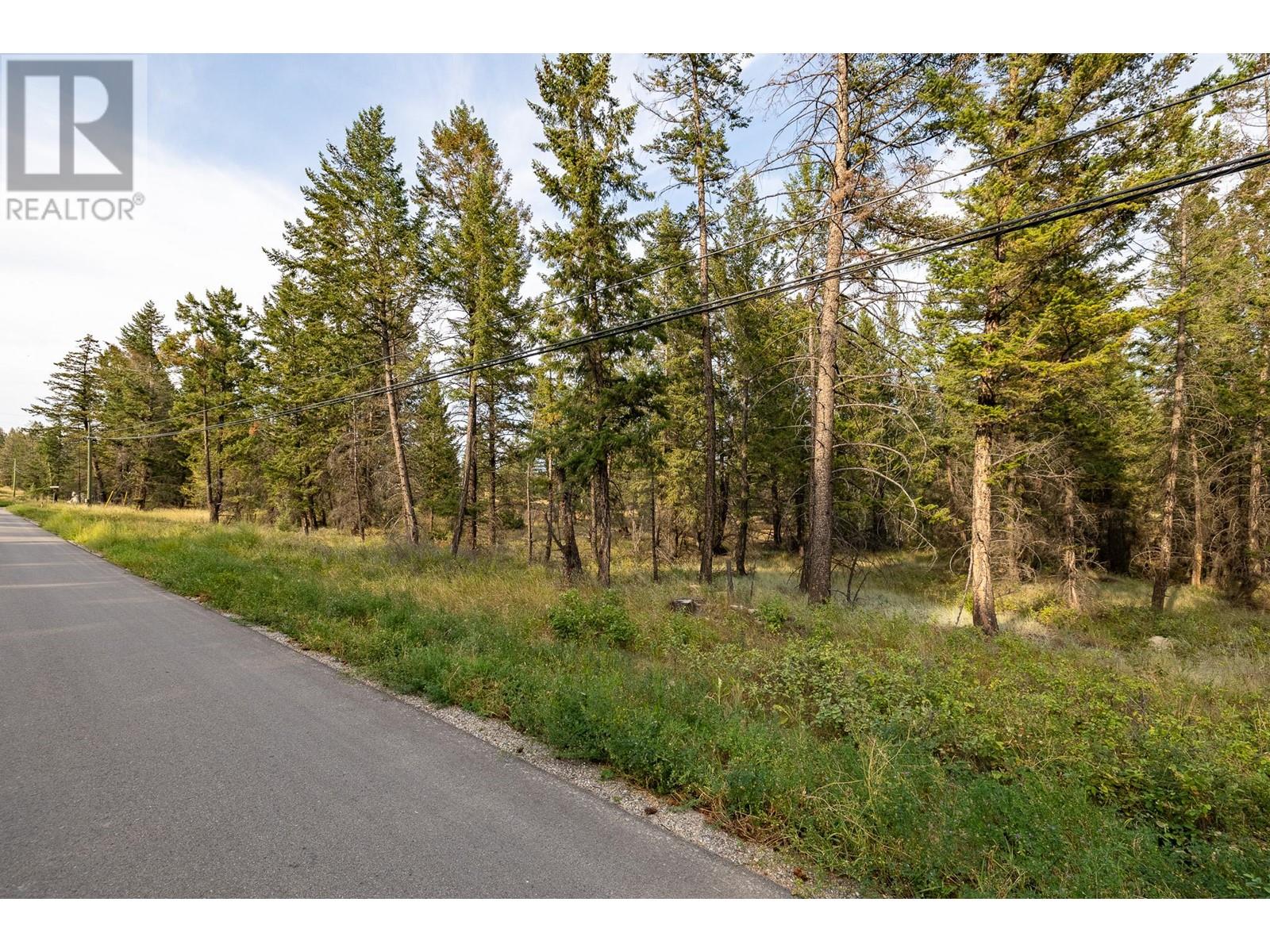 Lot B Columbia Lake Road Property Photo 16