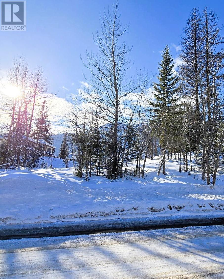 51 Cariboo Drive Property Photo 1