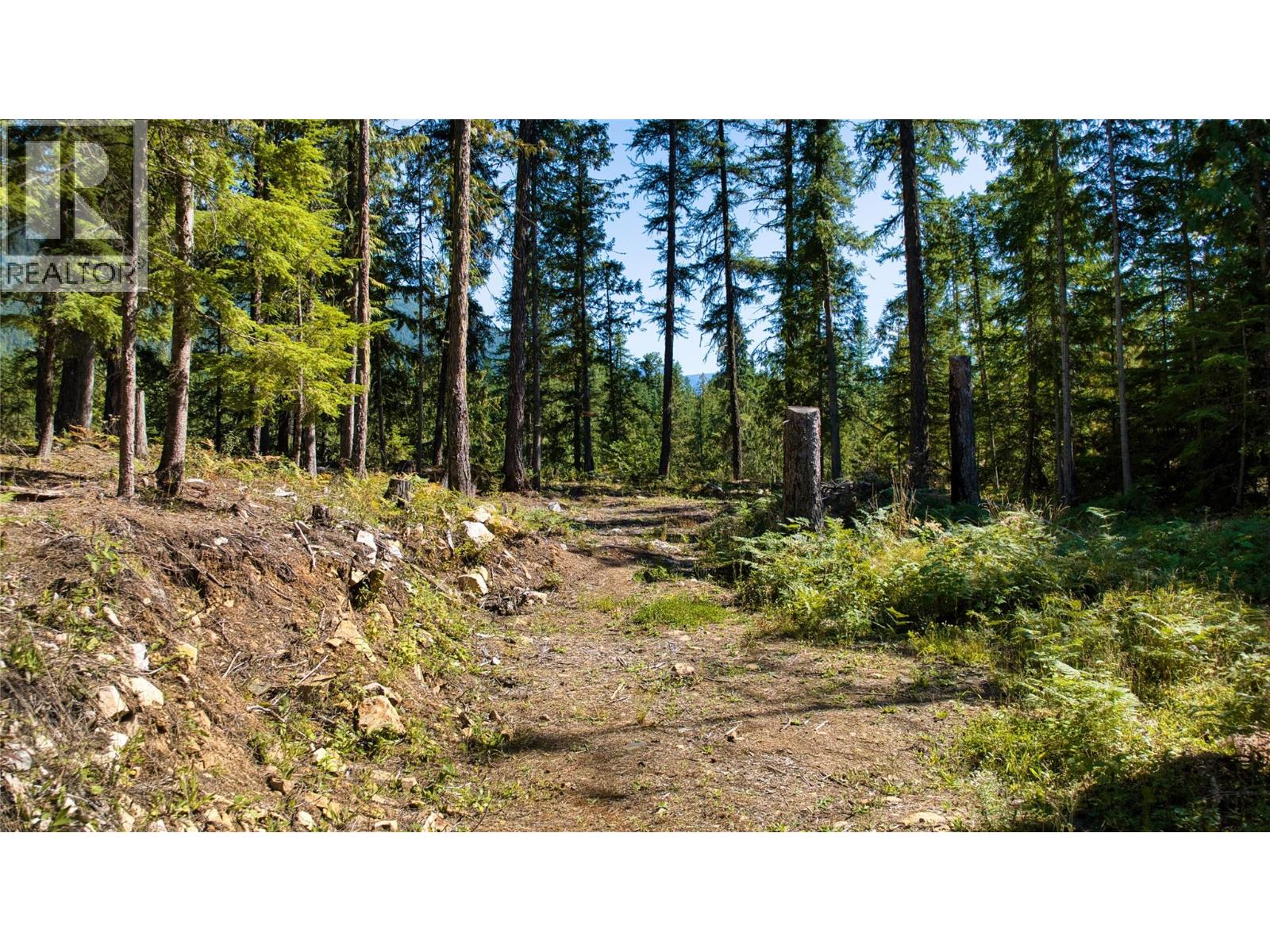 16300 Wadds Road Property Photo 8