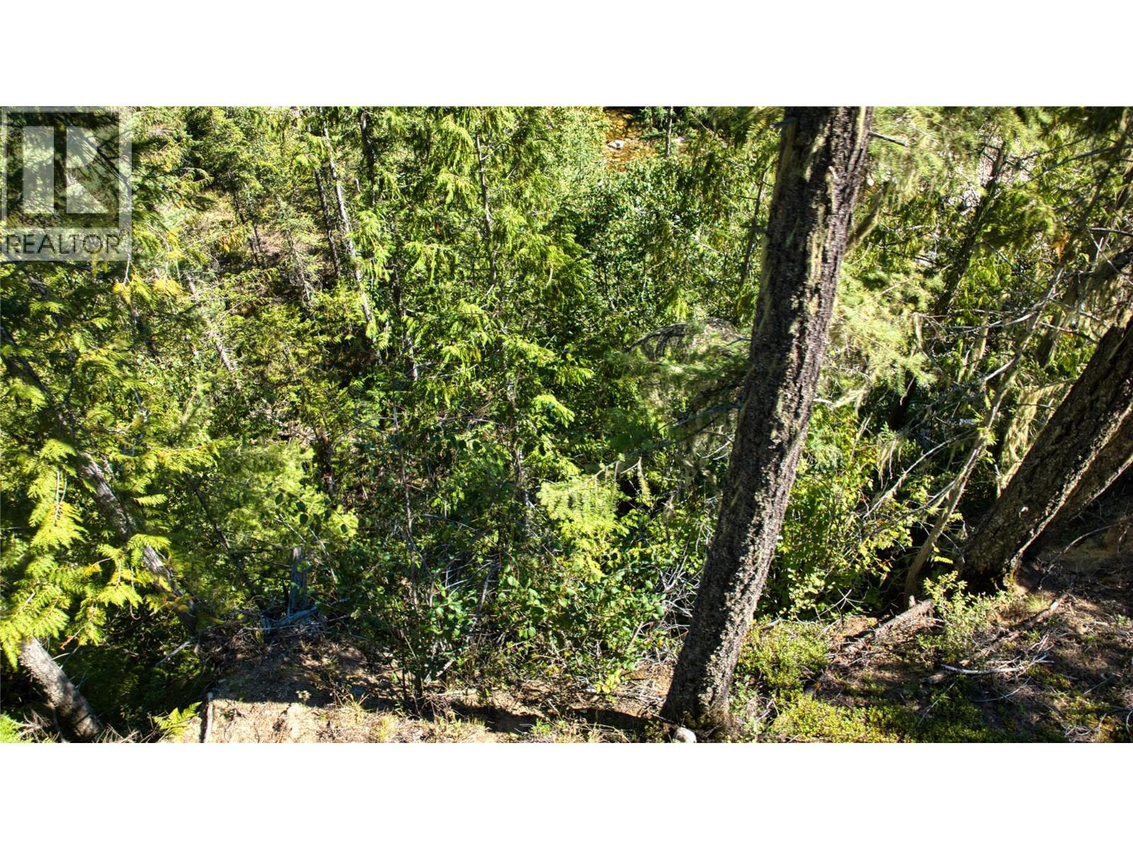 16300 Wadds Road Property Photo 10
