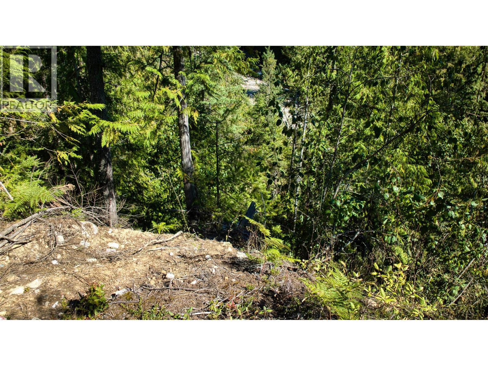 16300 Wadds Road Property Photo 13