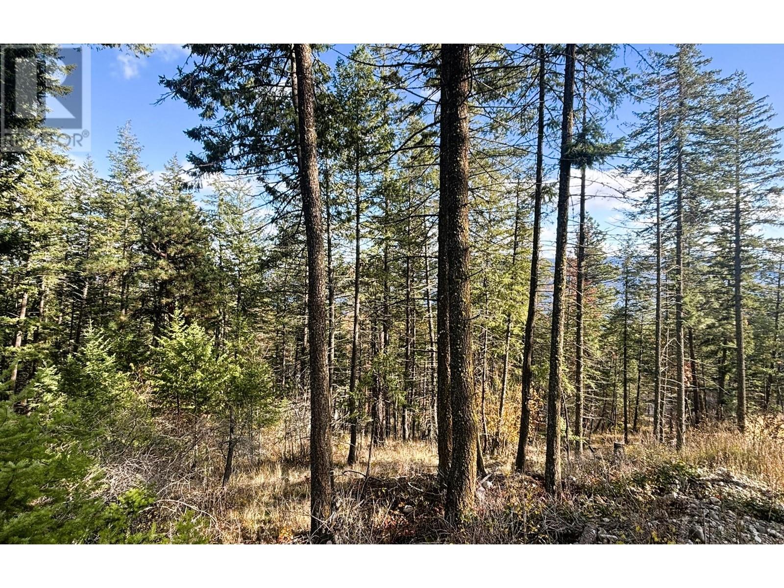 Lot 147 Keithley Road Lot# 147 Property Photo 12
