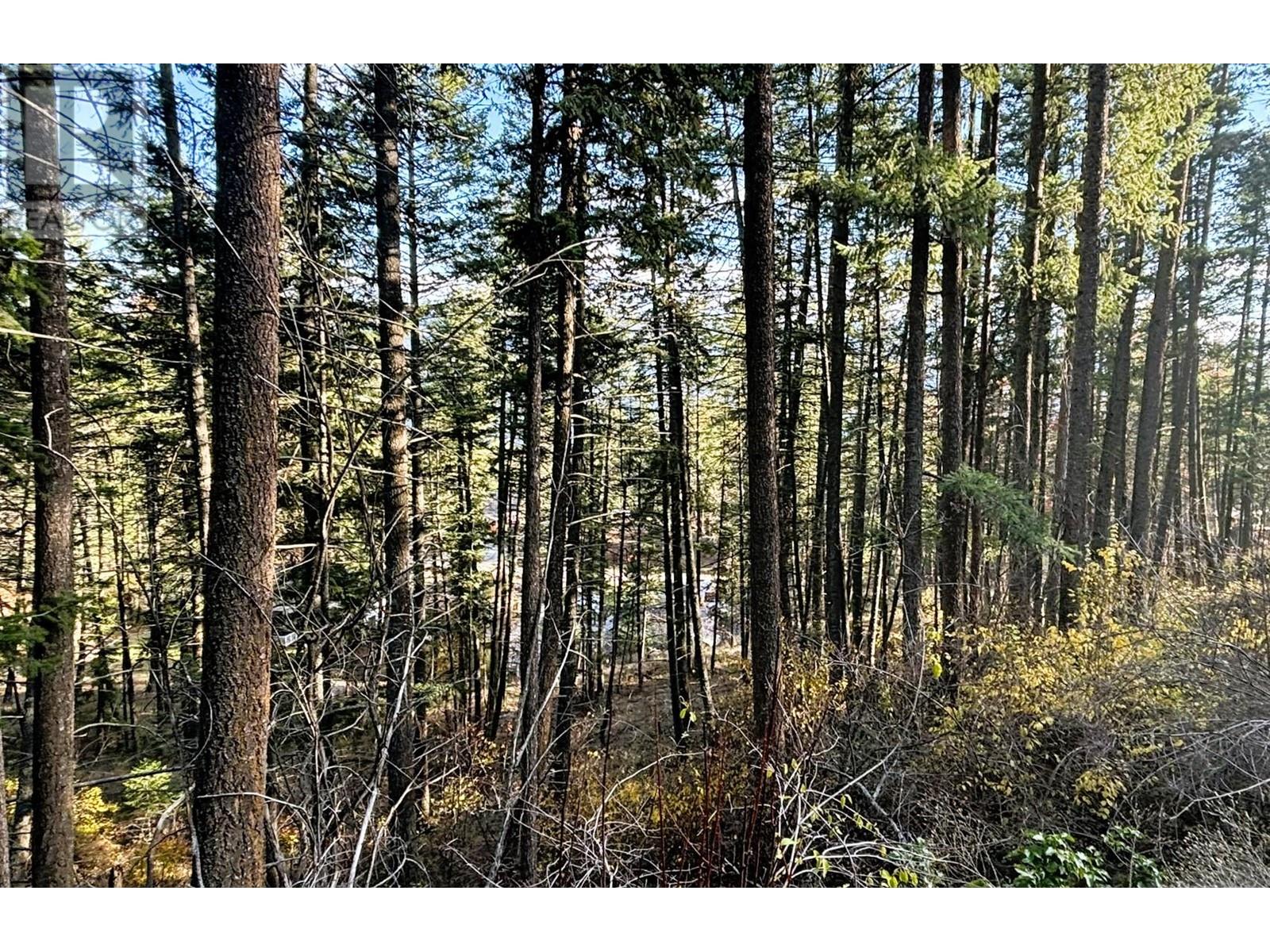 Lot 145 Keithley Road Lot# 145 Property Photo 7