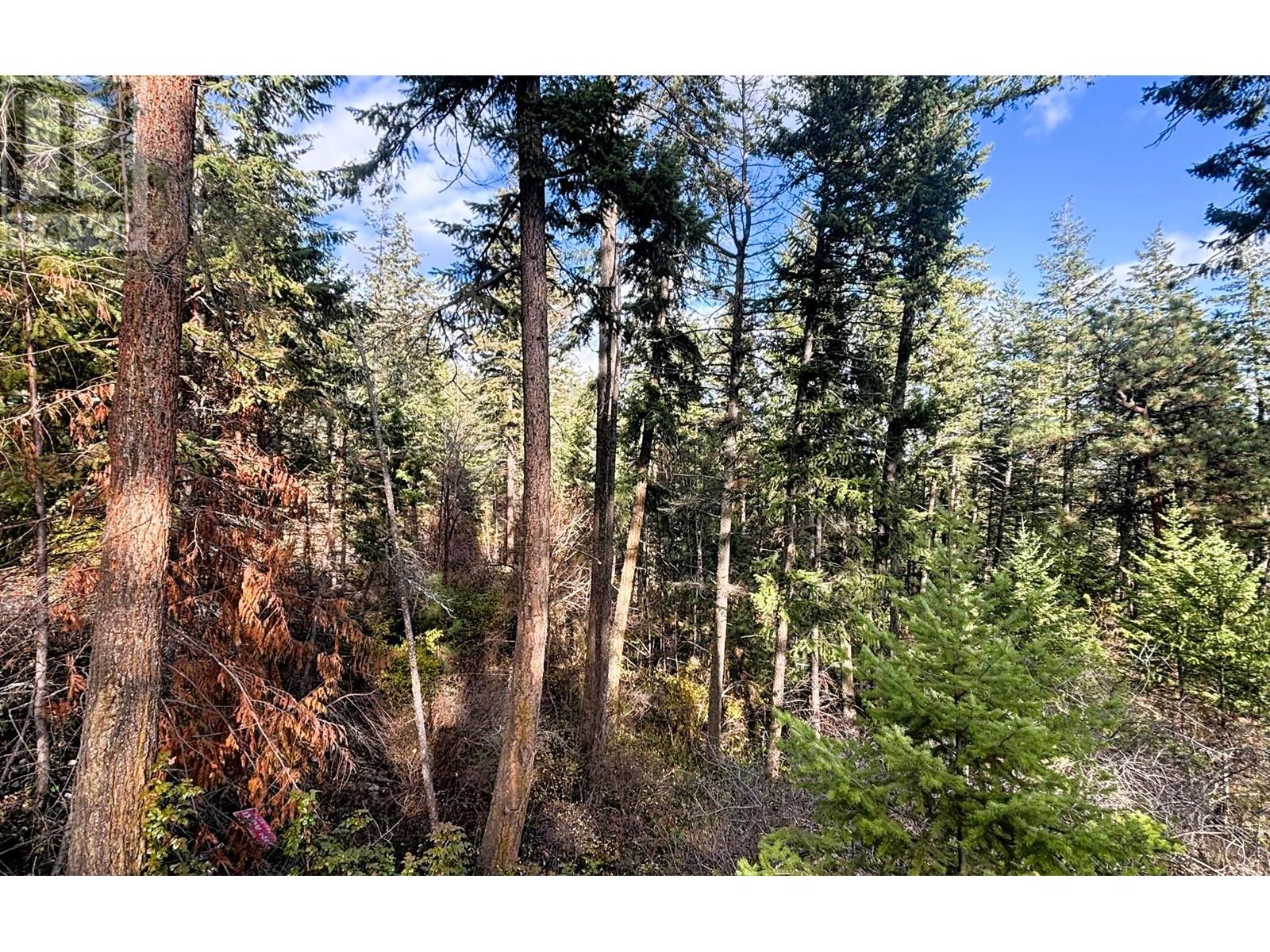 Lot 146 Keithley Road Lot# 146 Property Photo 2
