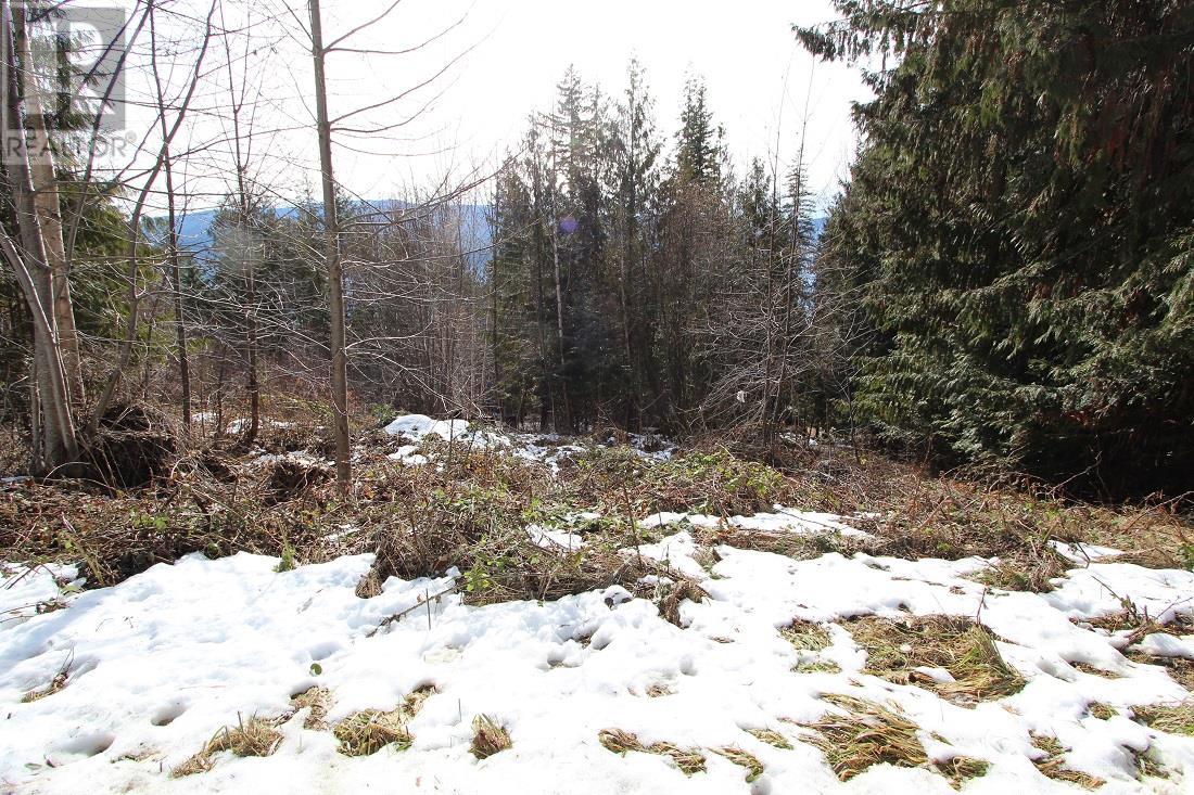 Lot 22 Stampede Trail Property Photo 3