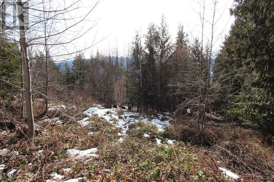 Lot 22 Stampede Trail Property Photo 4