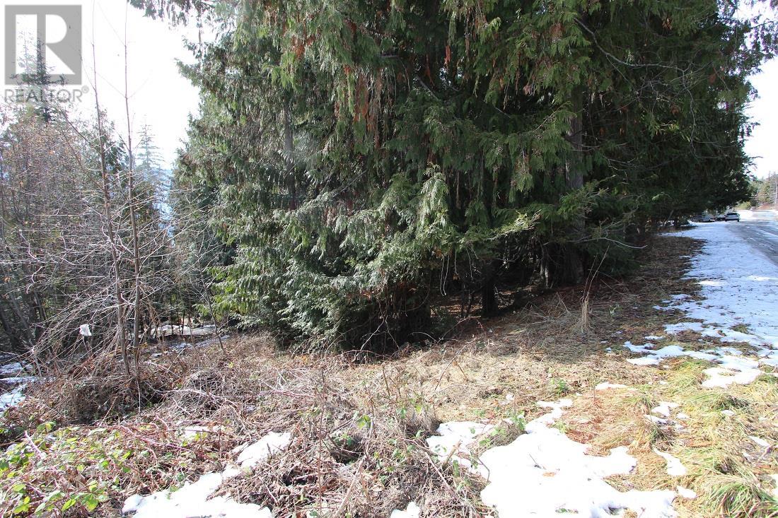 Lot 22 Stampede Trail Property Photo 5