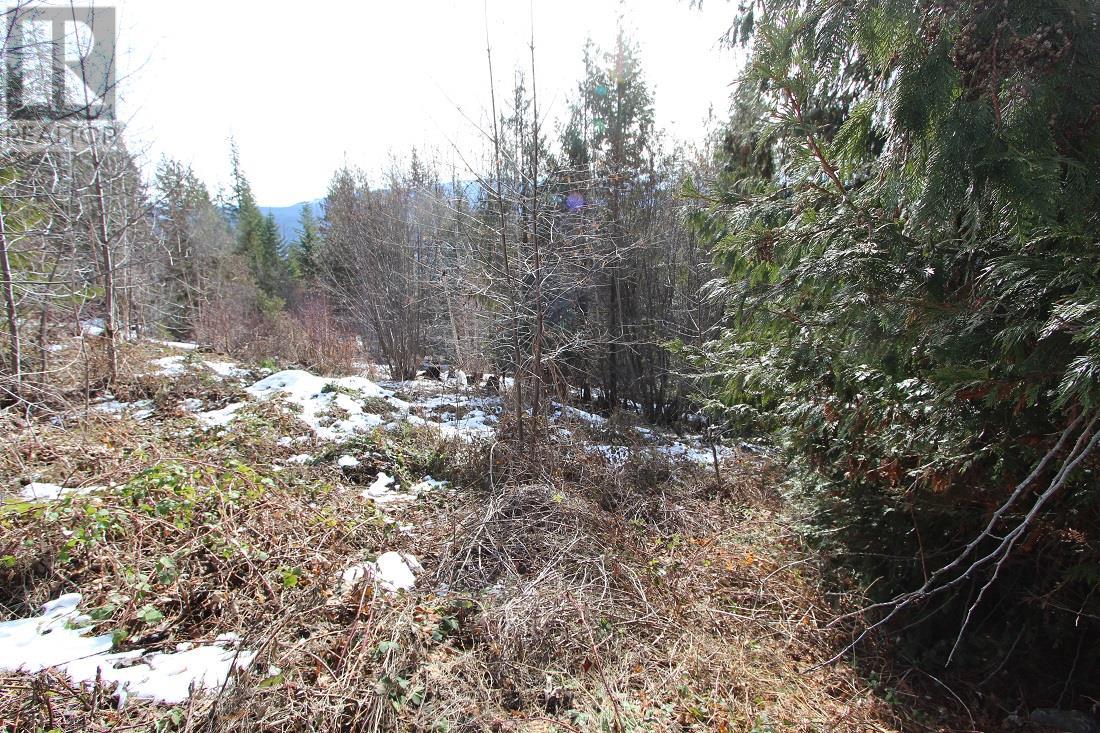Lot 22 Stampede Trail Property Photo 6