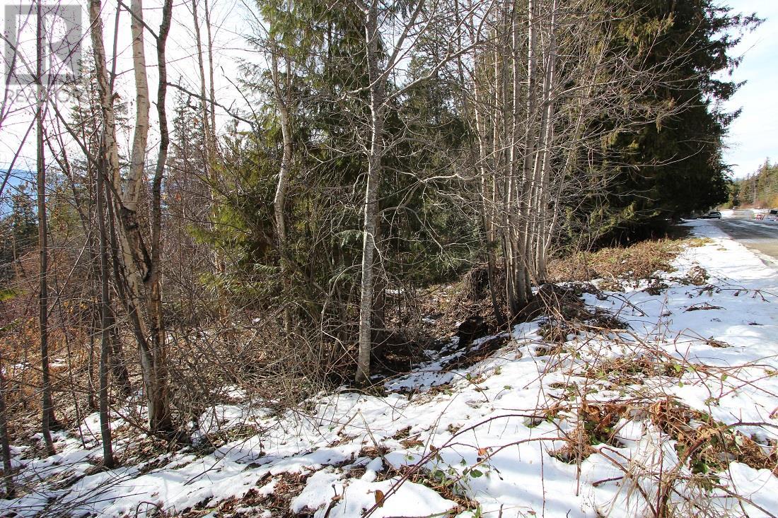 Lot 22 Stampede Trail Property Photo 7