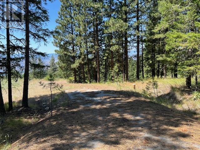 Lot 12 Sasquatch Trail Property Photo 10