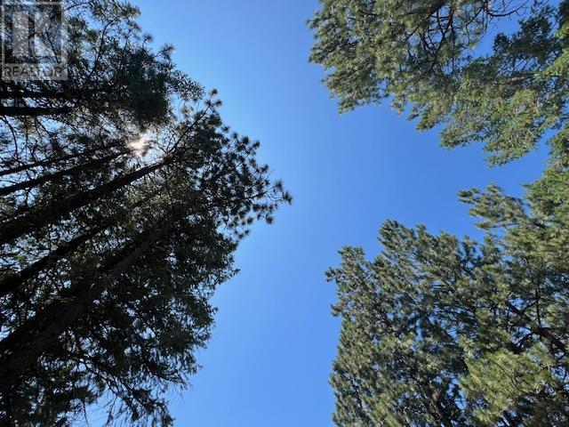 Lot 12 Sasquatch Trail Property Photo 12
