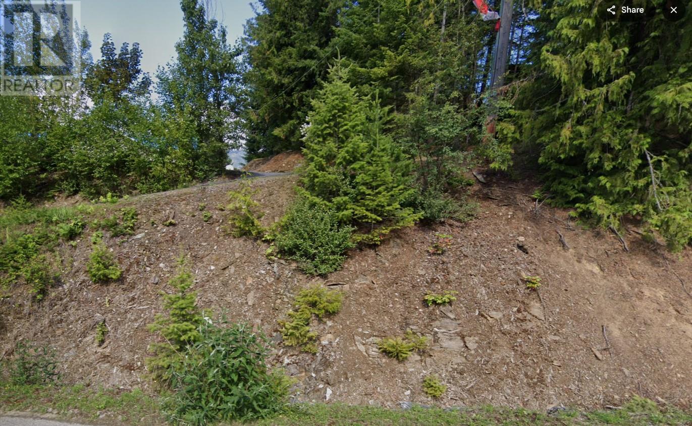 13596 Mountain Shores Road Property Photo 1