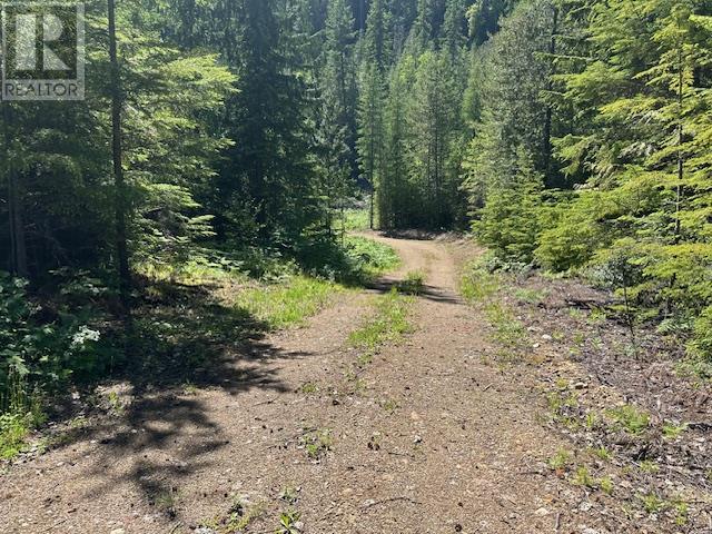 Lot A Highway 31 Property Photo 5