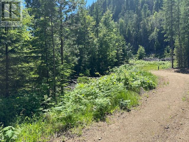 Lot A Highway 31 Property Photo 6