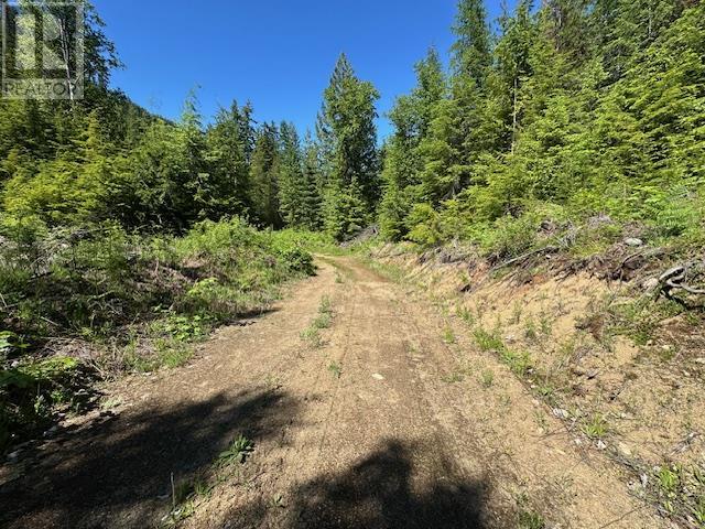 Lot B Highway 31 Property Photo 3