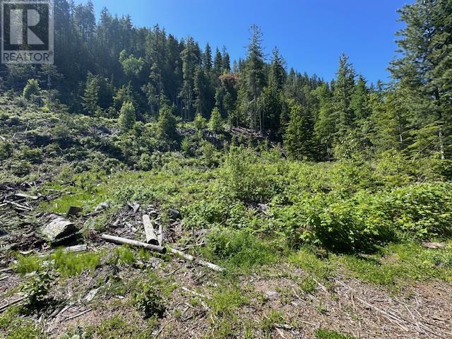 Lot B Highway 31 Property Photo 5