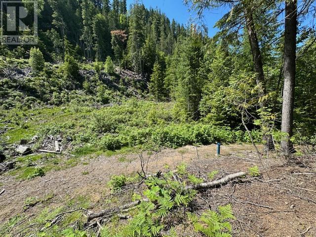 Lot B Highway 31 Property Photo 6
