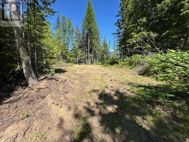 Lot B Highway 31 Property Photo 7