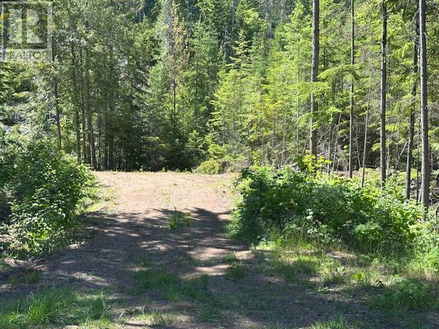 Lot B Highway 31 Property Photo 8