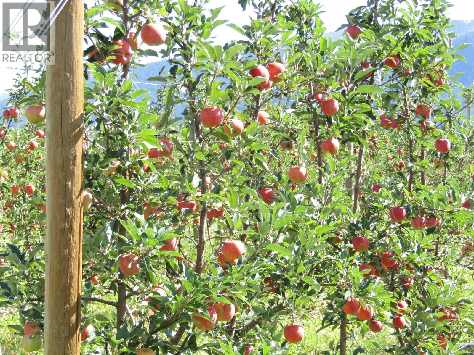 2705 75th Avenue Property Photo 2