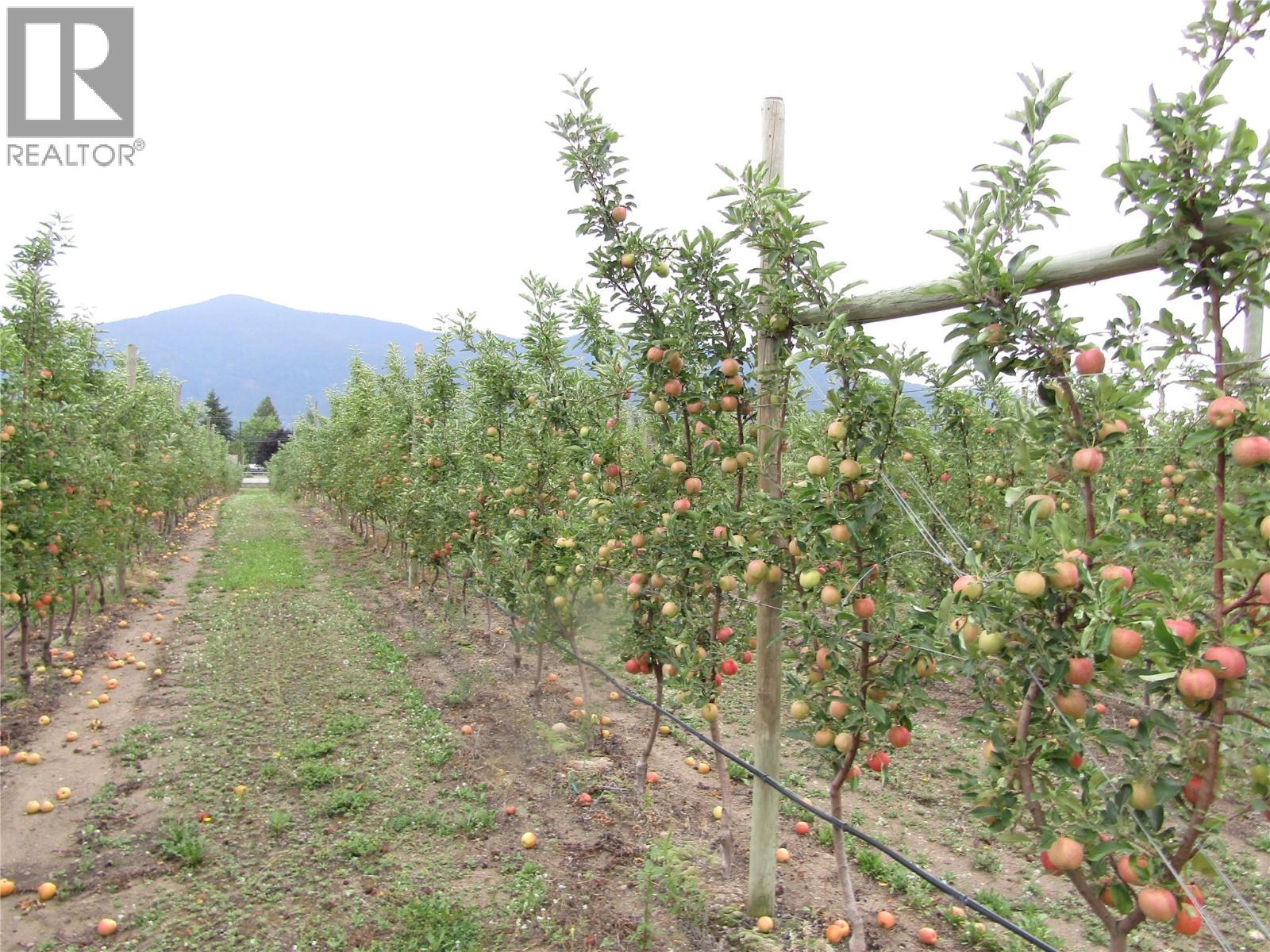 2705 75th Avenue Property Photo 4