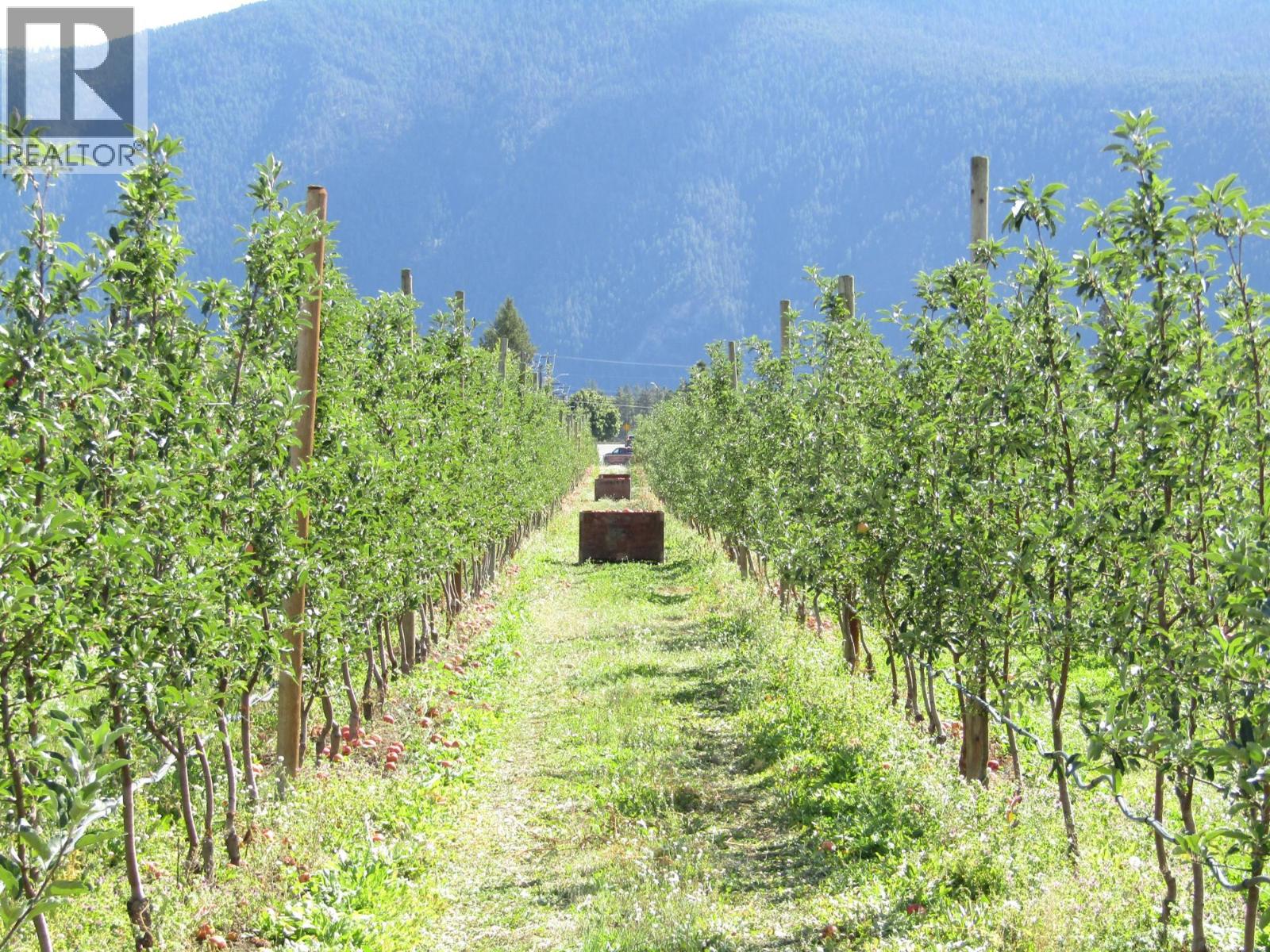 2705 75th Avenue Property Photo 6