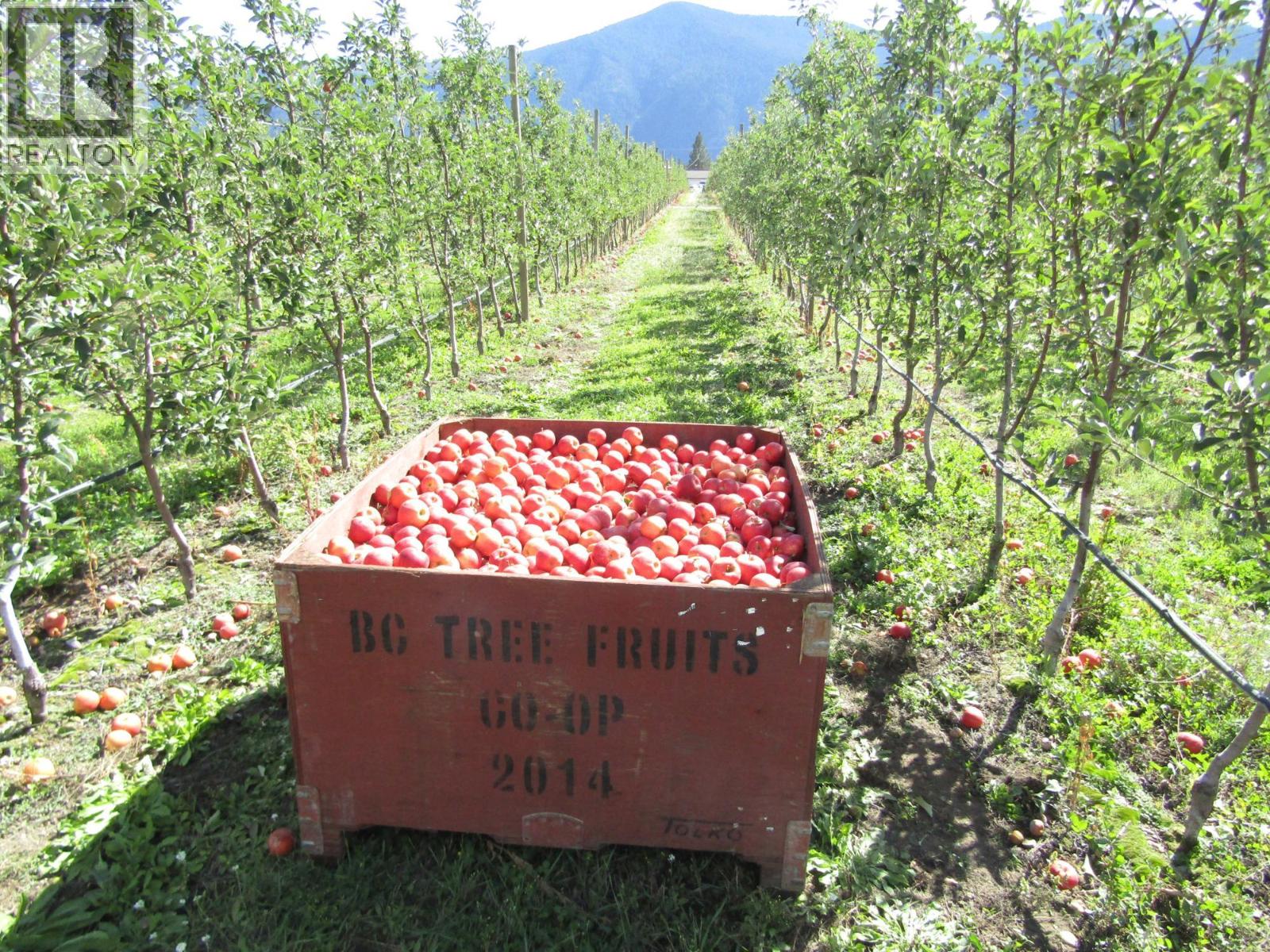 2705 75th Avenue Property Photo 8