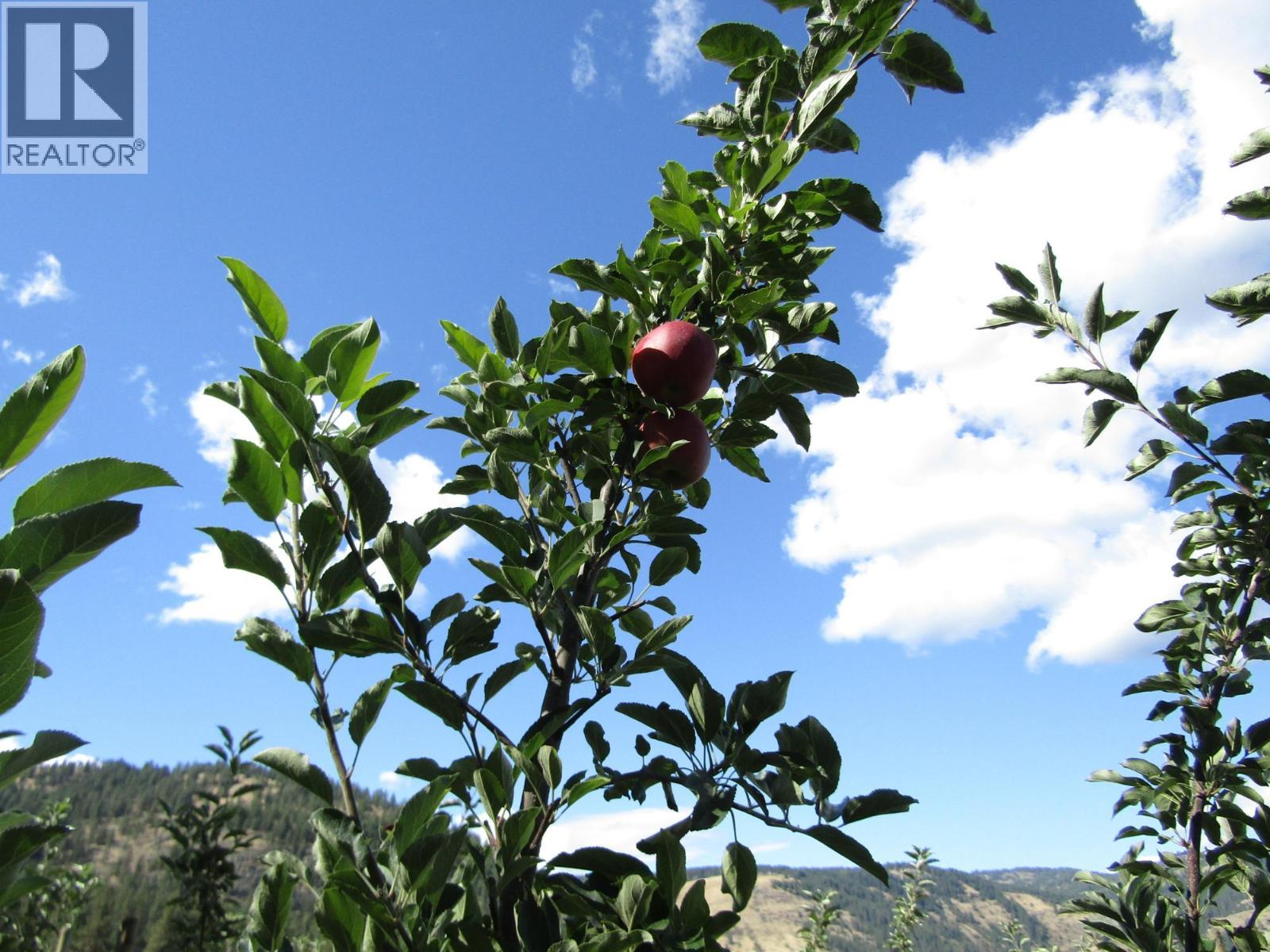 2705 75th Avenue Property Photo 48