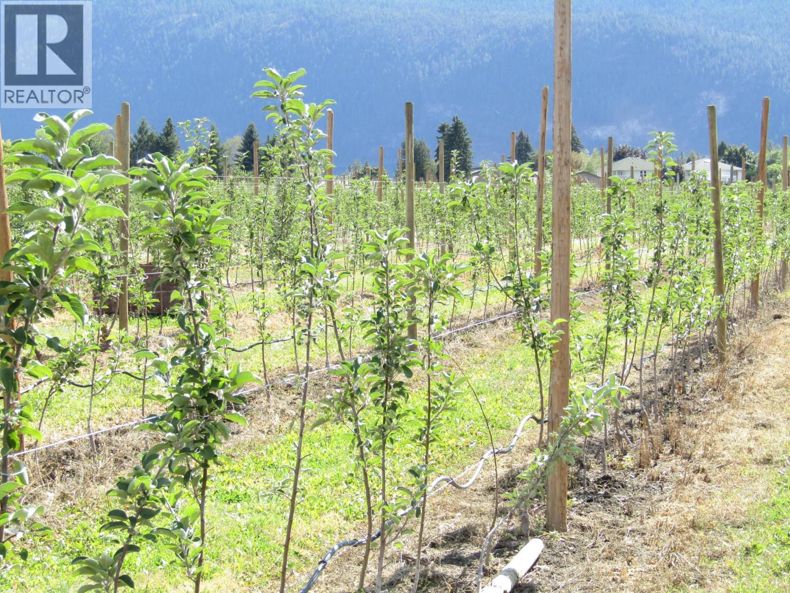 2705 75th Avenue Property Photo 59