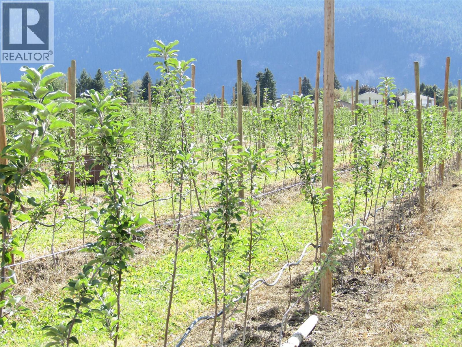 2705 75th Avenue Property Photo 73