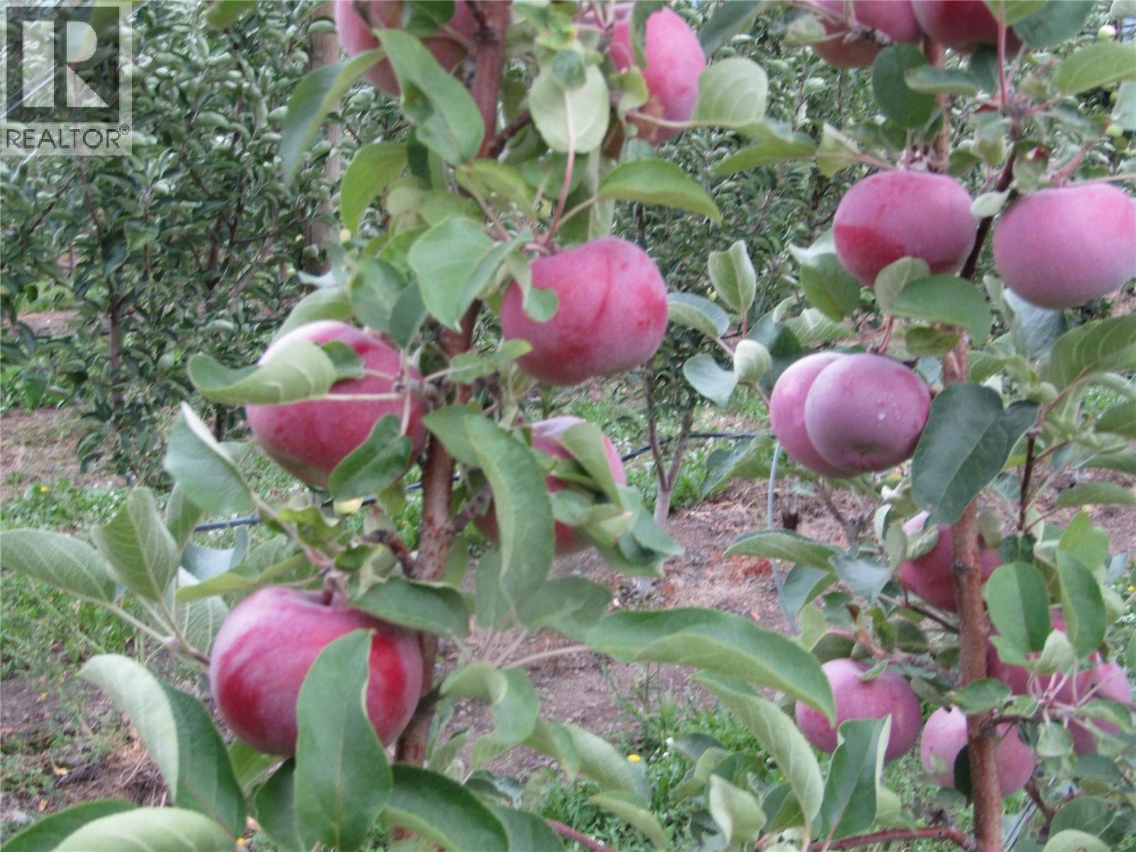 2705 75th Avenue Property Photo 79