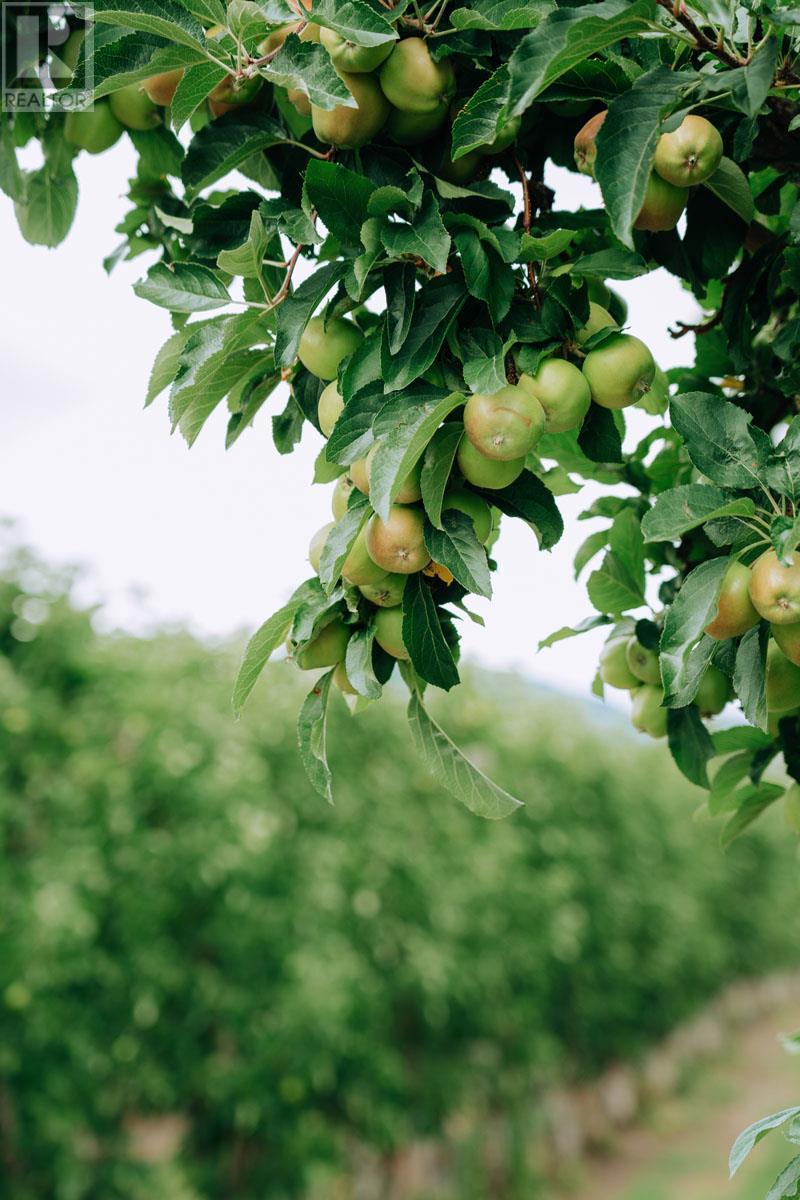 1731 Barcelo Road Property Photo 13