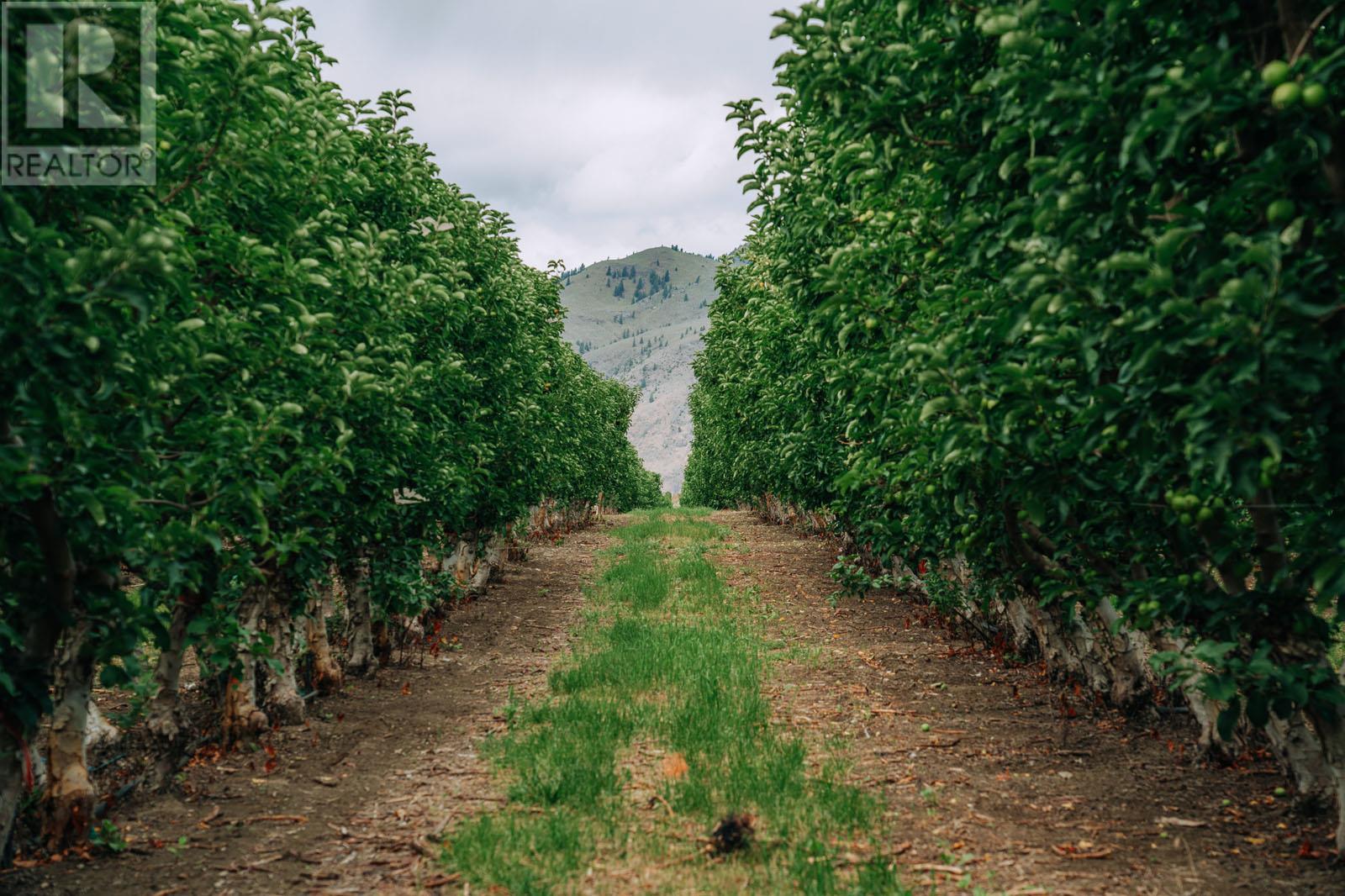 1731 Barcelo Road Property Photo 14