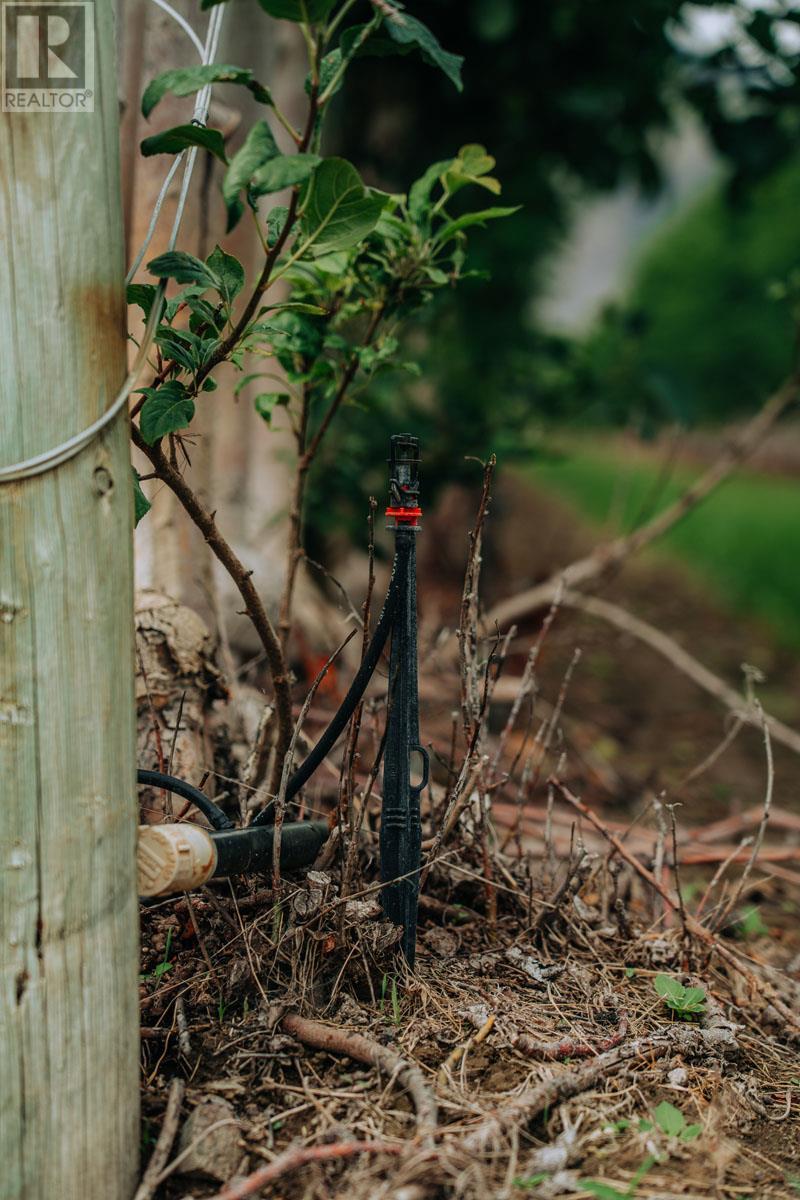 1731 Barcelo Road Property Photo 17