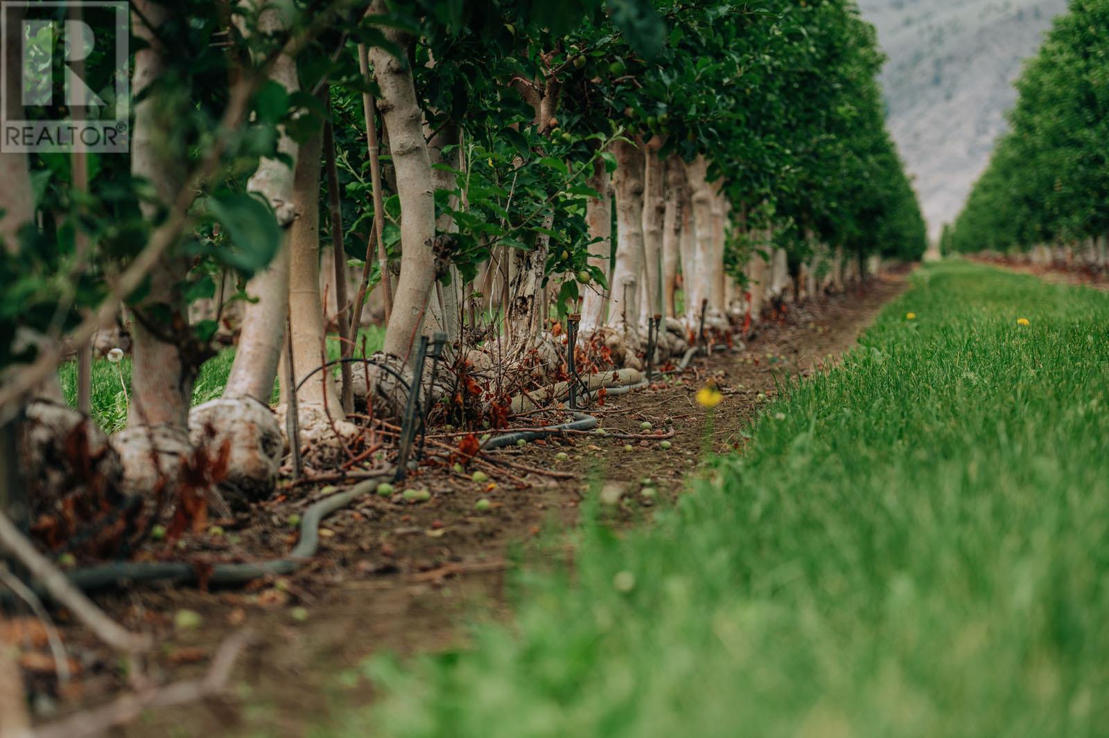 1731 Barcelo Road Property Photo 18