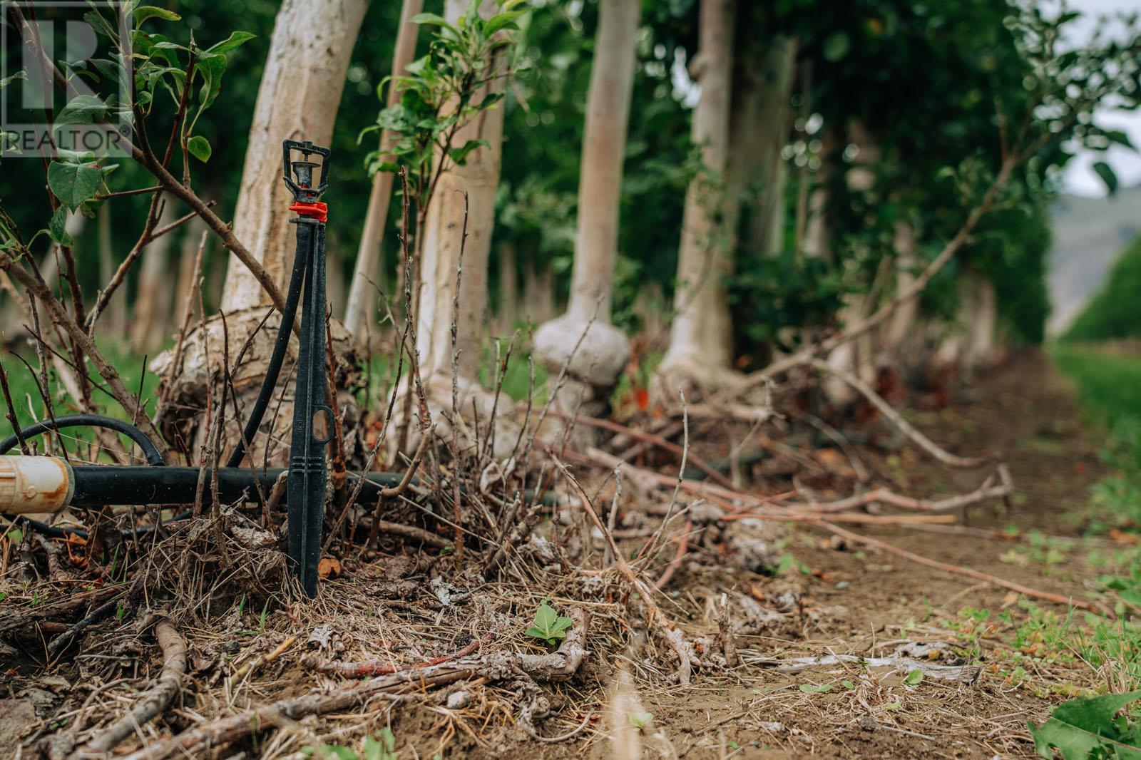 1731 Barcelo Road Property Photo 19